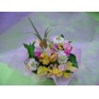 東京都千代田区花慶の花　スプリング　3