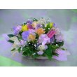 東京都千代田区花慶の花　スプリング　5