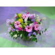 東京都千代田区花慶の花　スプリング　8