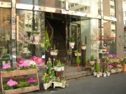 花慶